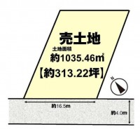 阪急岚山站出门就是
别墅，福祉设施的投资都非常适合
不来岚山散散步吗？